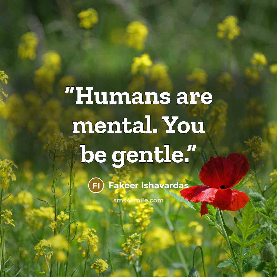 “Humans are mental. You be gentle.” quote by Fakeer Ishavardas
