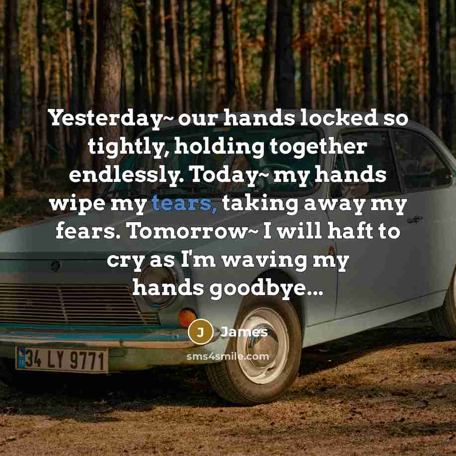 “Yesterday~ our hands locked so tightly, holding together endlessly. Today~ my hands wipe my tears, taking away my fears. Tomorrow~ I will haft to cry as I'm waving my hands goodbye...” quote by James