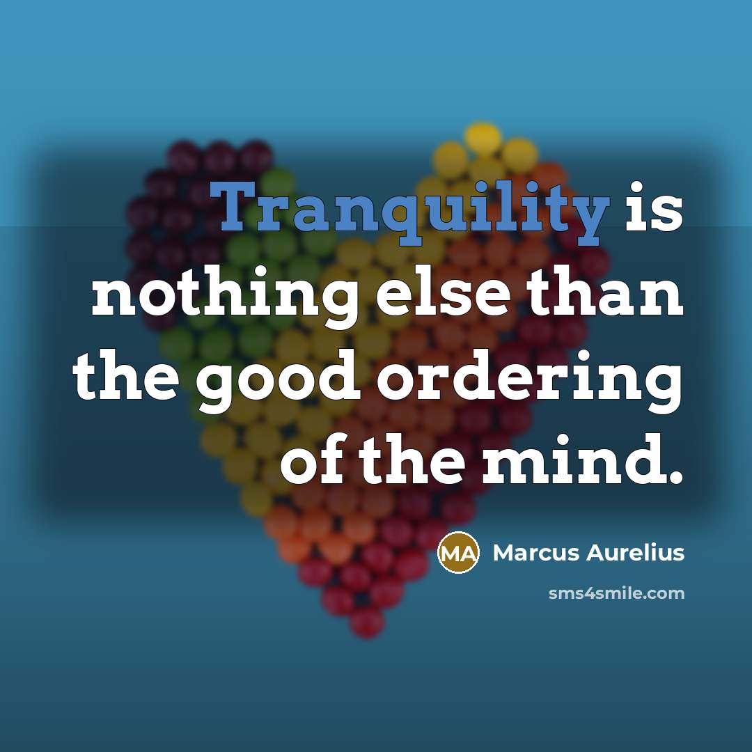 “Tranquility is nothing else than the good ordering of the mind.” quote by Marcus Aurelius