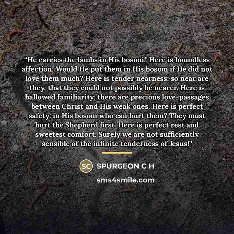 “He carries the lambs in His bosom." Here is boundless affection. Would He put them in His bosom if He did not love them much? Here is tender nearness: so near are they, that they could not possibly be nearer. Here is hallowed familiarity: there are precious love-passages between Christ and His…” quote by SPURGEON C H