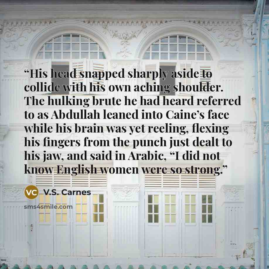 “His head snapped sharply aside to collide with his own aching shoulder. The hulking brute he had heard referred to as Abdullah leaned into Caine’s face while his brain was yet reeling, flexing his fingers from the punch just dealt to his jaw, and said in Arabic, “I did not know English women were…” quote by V.S. Carnes