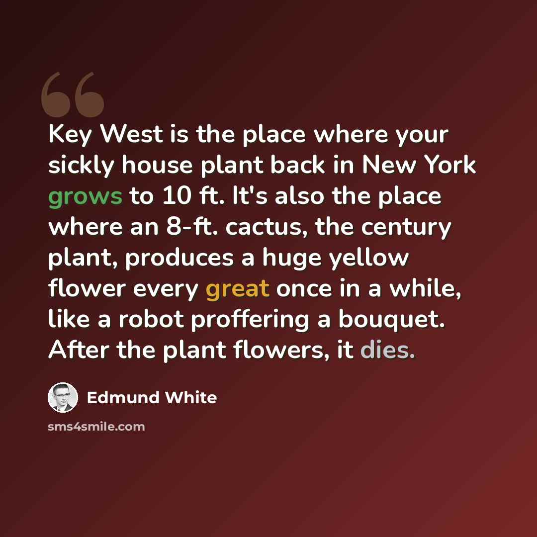 “Key West is the place where your sickly house plant back in New York grows to 10 ft. It's also the place where an 8-ft. cactus, the century plant, produces a huge yellow flower every great once in a while, like a robot proffering a bouquet. After the plant flowers, it dies.” quote by Edmund White
