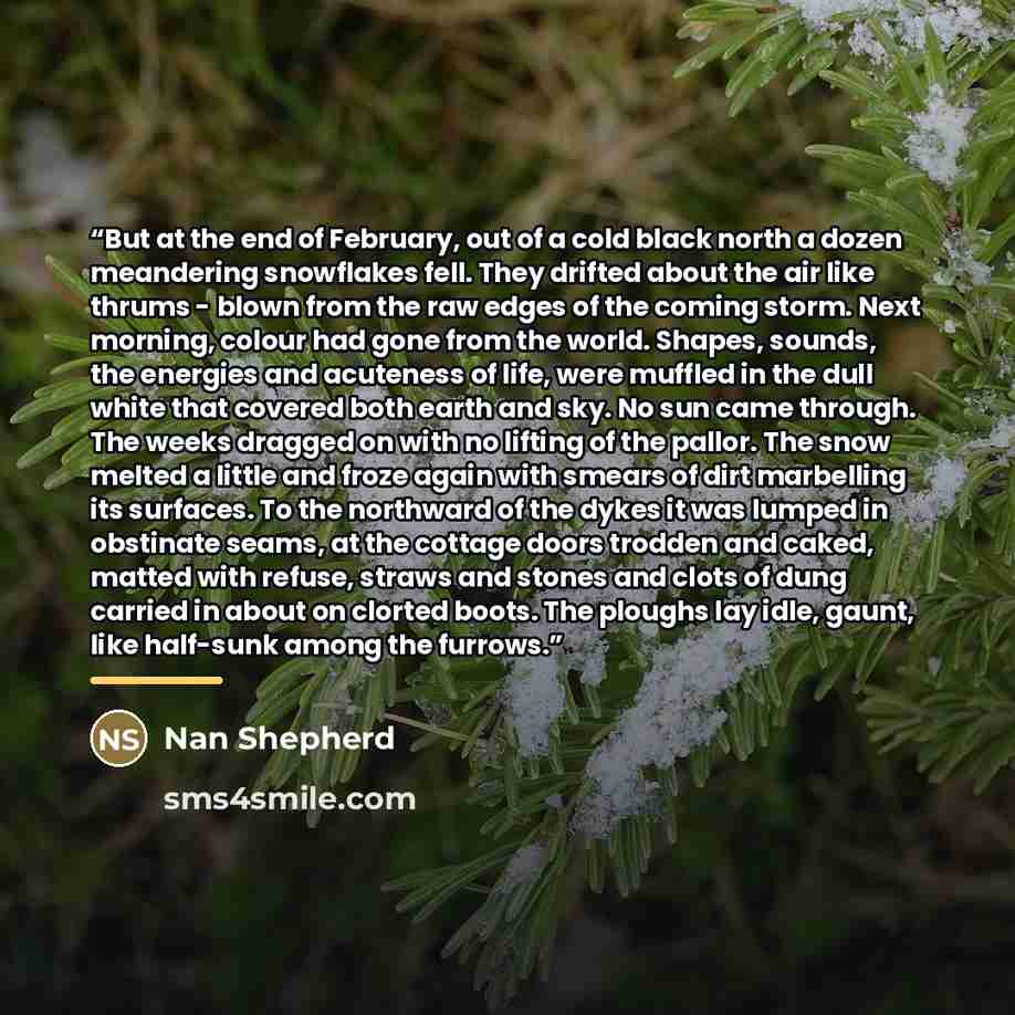 “But at the end of February, out of a cold black north a dozen meandering snowflakes fell. They drifted about the air like thrums - blown from the raw edges of the coming storm. Next morning, colour had gone from the world. Shapes, sounds, the energies and acuteness of life, were muffled in the…” quote by Nan Shepherd