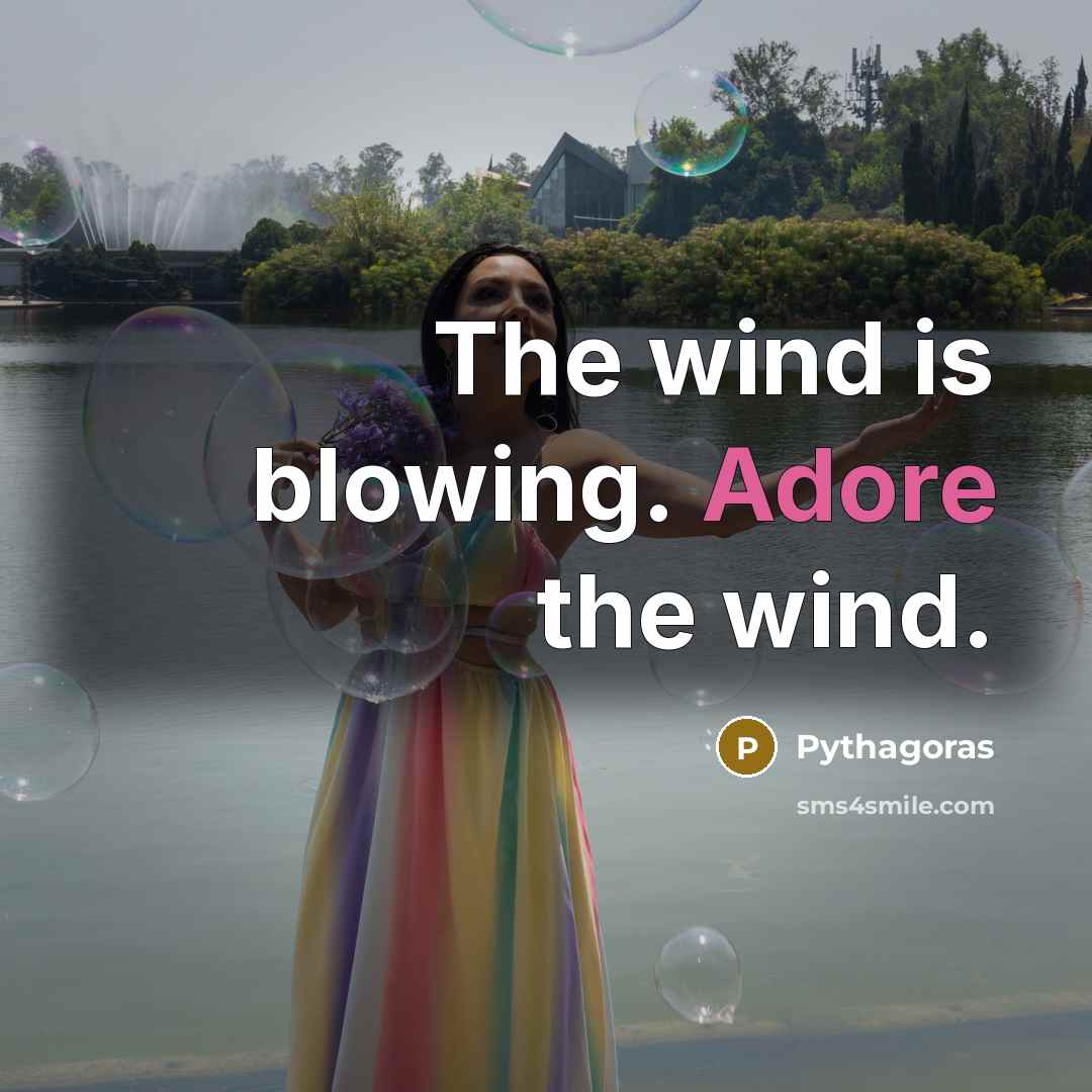“The wind is blowing. Adore the wind.” quote by Pythagoras