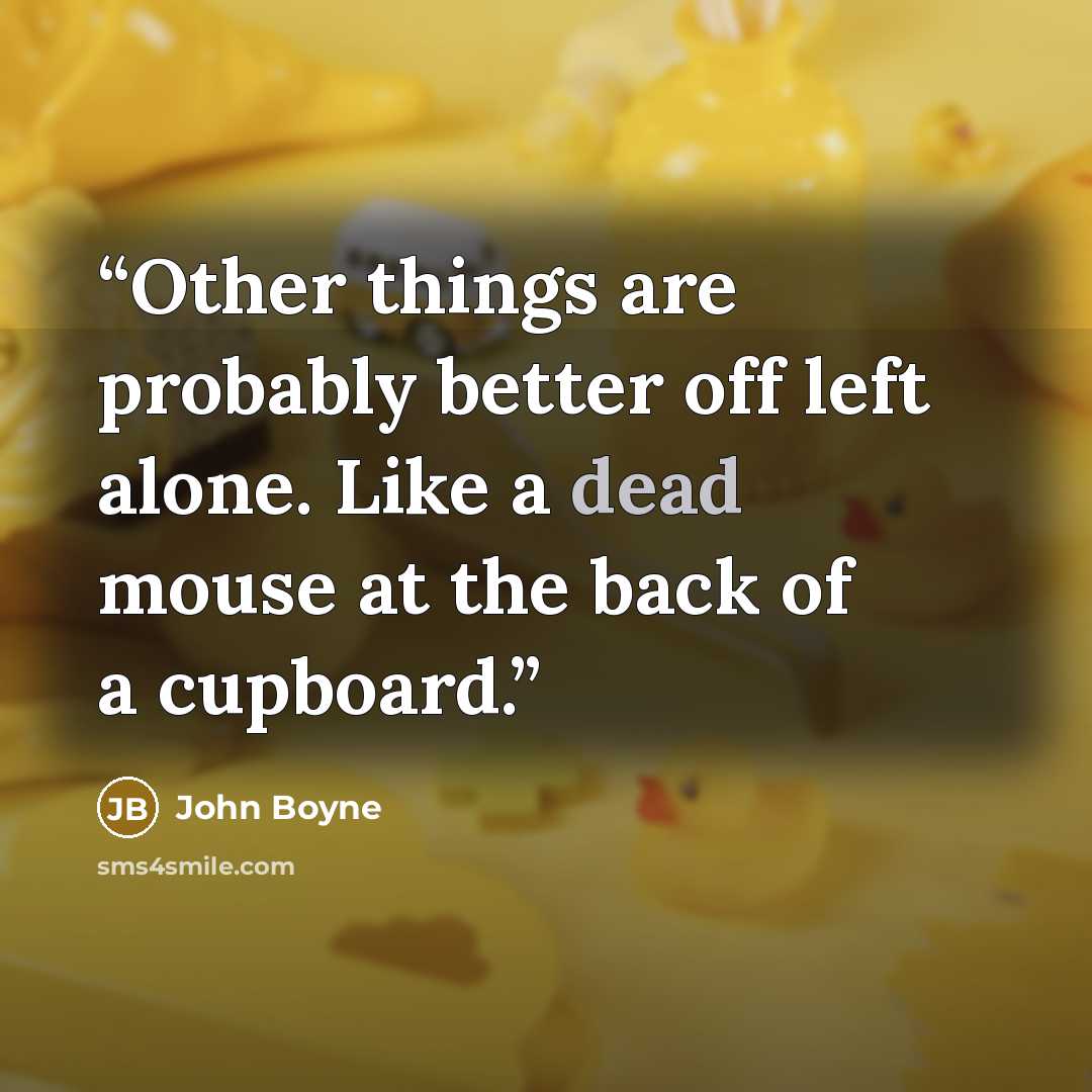 “Other things are probably better off left alone. Like a dead mouse at the back of a cupboard.” quote by John Boyne