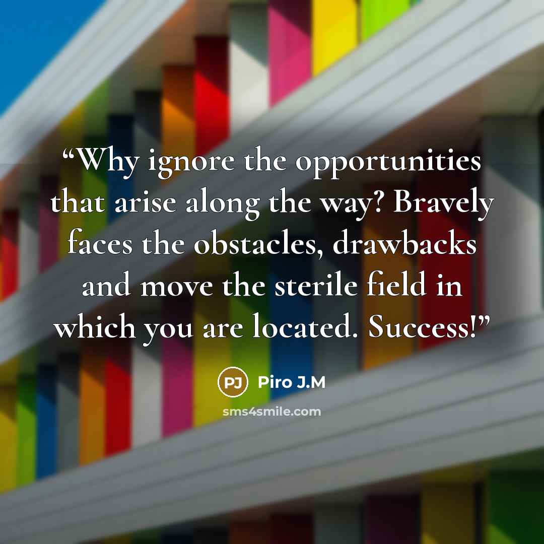 “Why ignore the opportunities that arise along the way? Bravely faces the obstacles, drawbacks and move the sterile field in which you are located. Success!” quote by Piro J.M