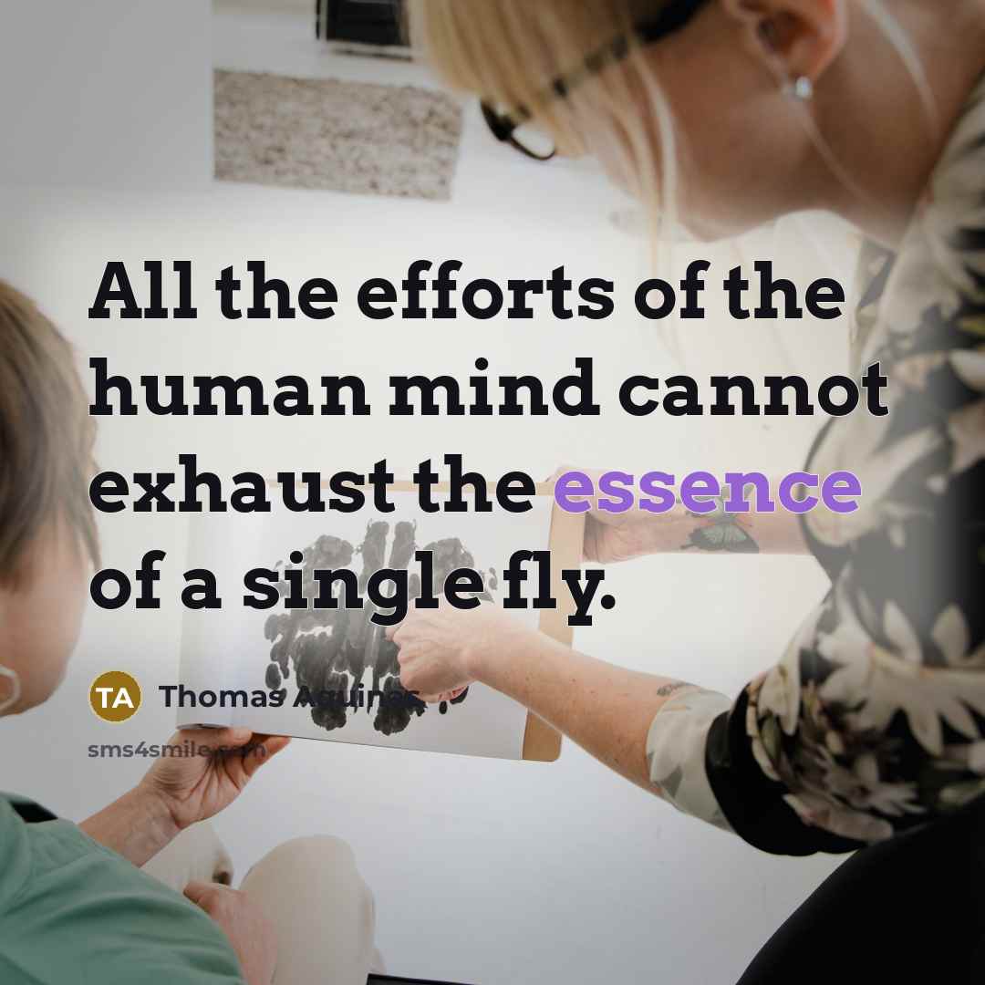 “All the efforts of the human mind cannot exhaust the essence of a single fly.” quote by Thomas Aquinas