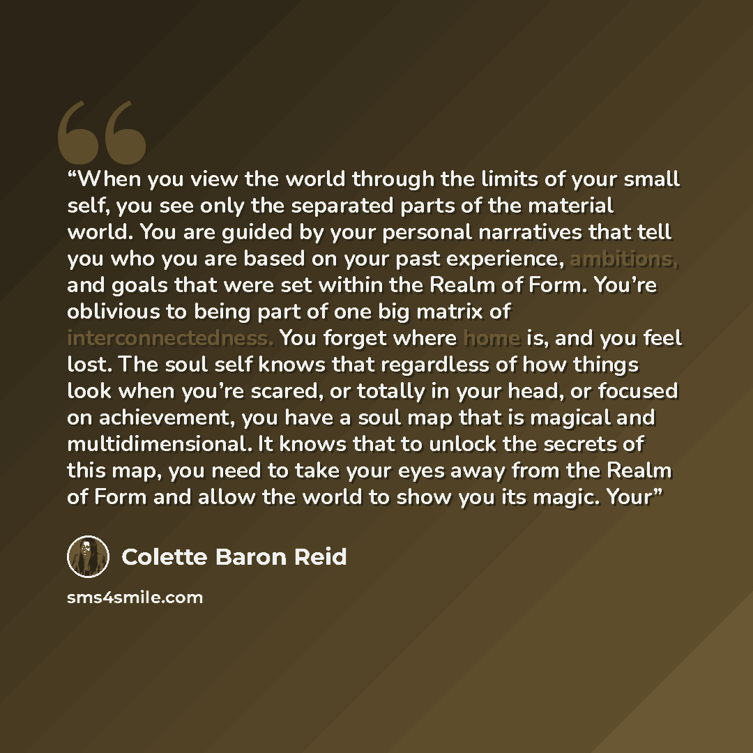 “When you view the world through the limits of your small self, you see only the separated parts of the material world. You are guided by your personal narratives that tell you who you are based on your past experience, ambitions, and goals that were set within the Realm of Form. You’re oblivious…” quote by Colette Baron Reid