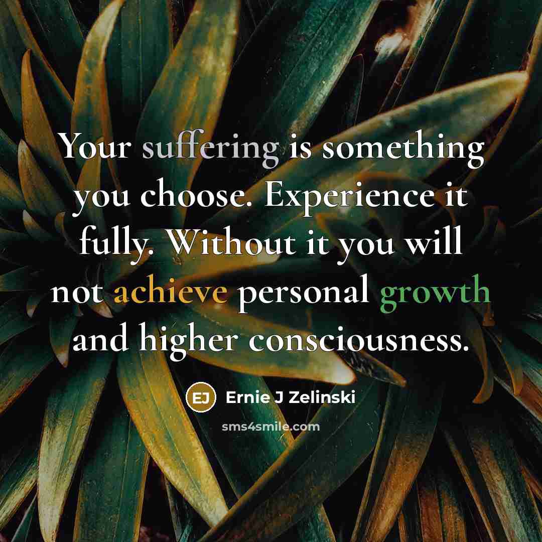 “Your suffering is something you choose. Experience it fully. Without it you will not achieve personal growth and higher consciousness.” quote by Ernie J Zelinski
