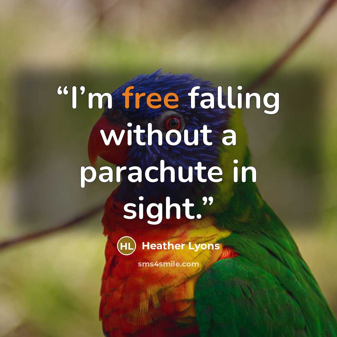 “I’m free falling without a parachute in sight.” quote by Heather Lyons