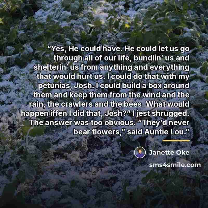 “Yes, He could have. He could let us go through all of our life, bundlin’ us and shelterin’ us from anything and everything that would hurt us. I could do that with my petunias, Josh. I could build a box around them and keep them from the wind and the rain, the crawlers and the bees. What would…” quote by Janette Oke