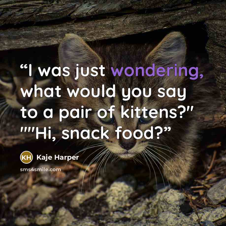 “I was just wondering, what would you say to a pair of kittens?" ""Hi, snack food?” quote by Kaje Harper