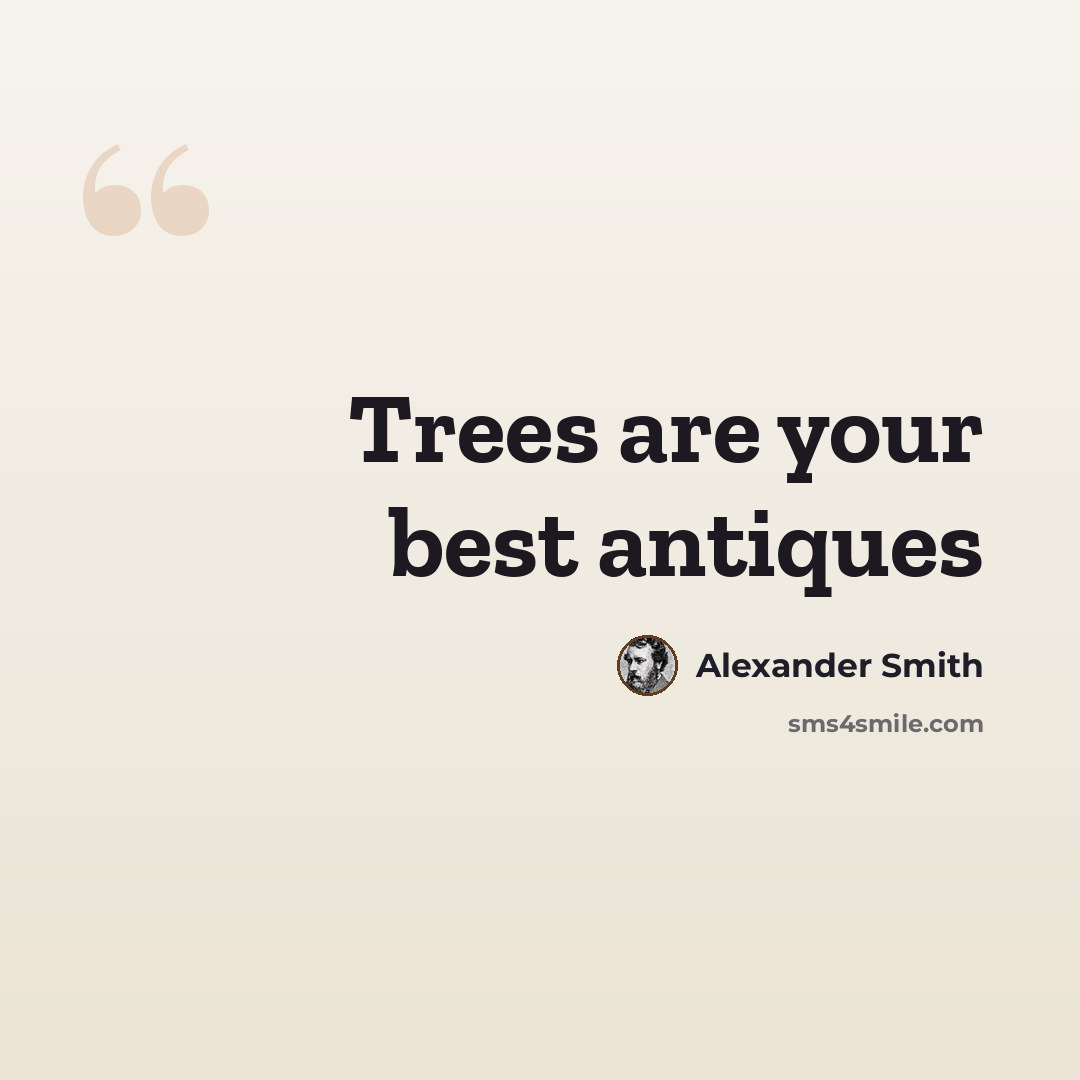 “Trees are your best antiques” quote by Alexander Smith