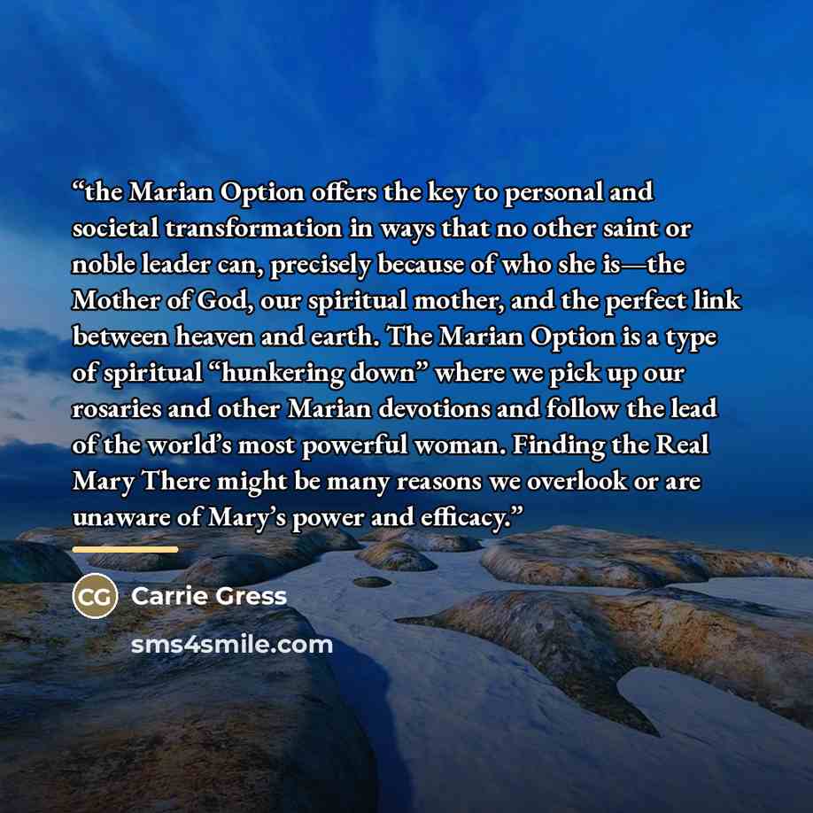 “the Marian Option offers the key to personal and societal transformation in ways that no other saint or noble leader can, precisely because of who she is—the Mother of God, our spiritual mother, and the perfect link between heaven and earth. The Marian Option is a type of spiritual “hunkering…” quote by Carrie Gress