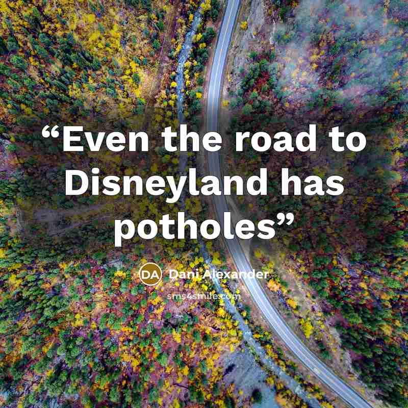 “Even the road to Disneyland has potholes” quote by Dani Alexander