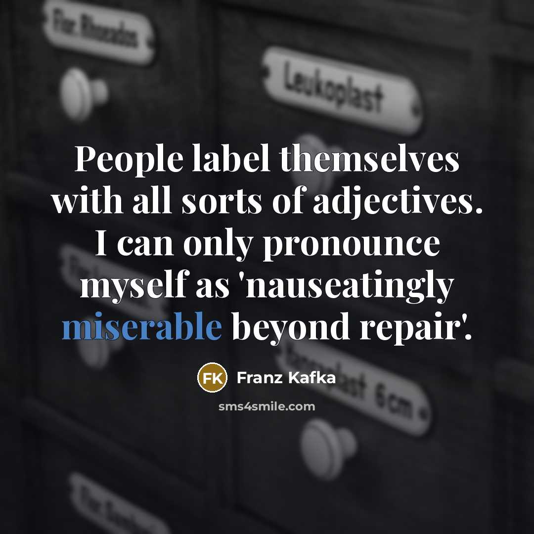 “People label themselves with all sorts of adjectives. I can only pronounce myself as 'nauseatingly miserable beyond repair'.” quote by Franz Kafka