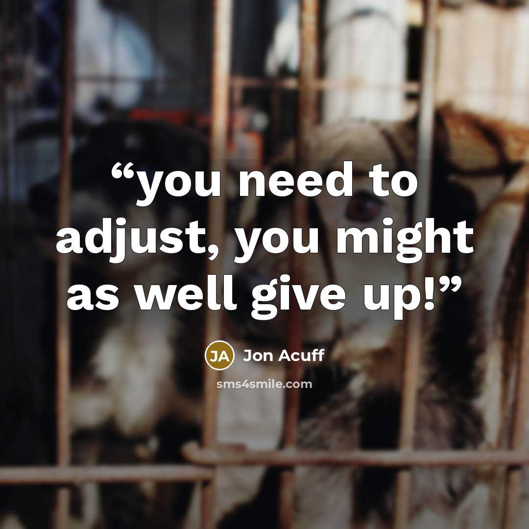 “you need to adjust, you might as well give up!” quote by Jon Acuff