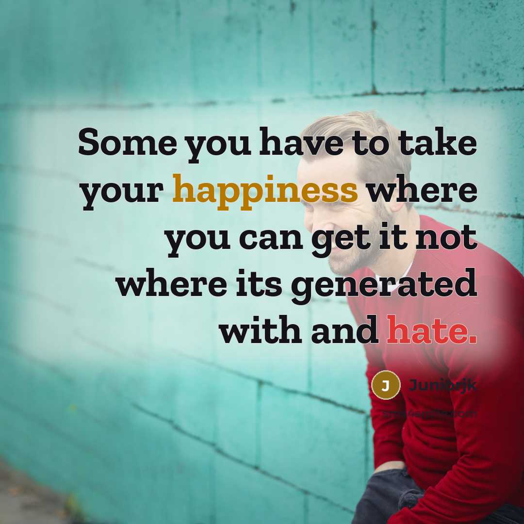 “Some you have to take your happiness where you can get it not where its generated with and hate.” quote by Juniorjk