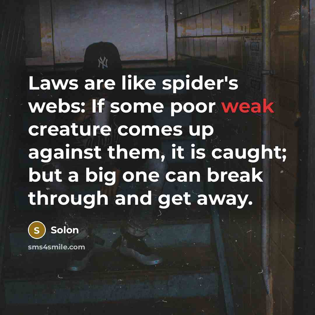 “Laws are like spider's webs: If some poor weak creature comes up against them, it is caught; but a big one can break through and get away.” quote by Solon