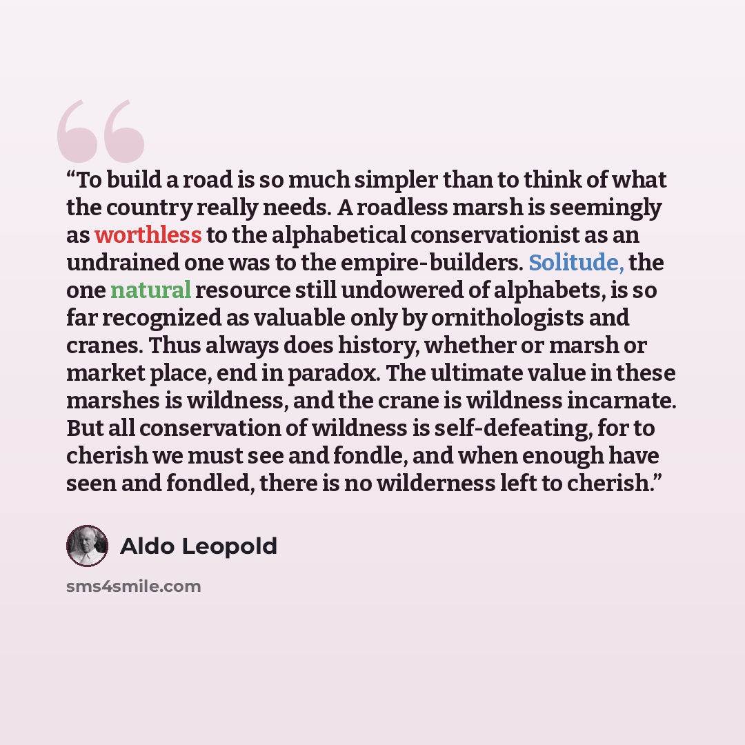 “To build a road is so much simpler than to think of what the country really needs. A roadless marsh is seemingly as worthless to the alphabetical conservationist as an undrained one was to the empire-builders. Solitude, the one natural resource still undowered of alphabets, is so far recognized as…” quote by Aldo Leopold