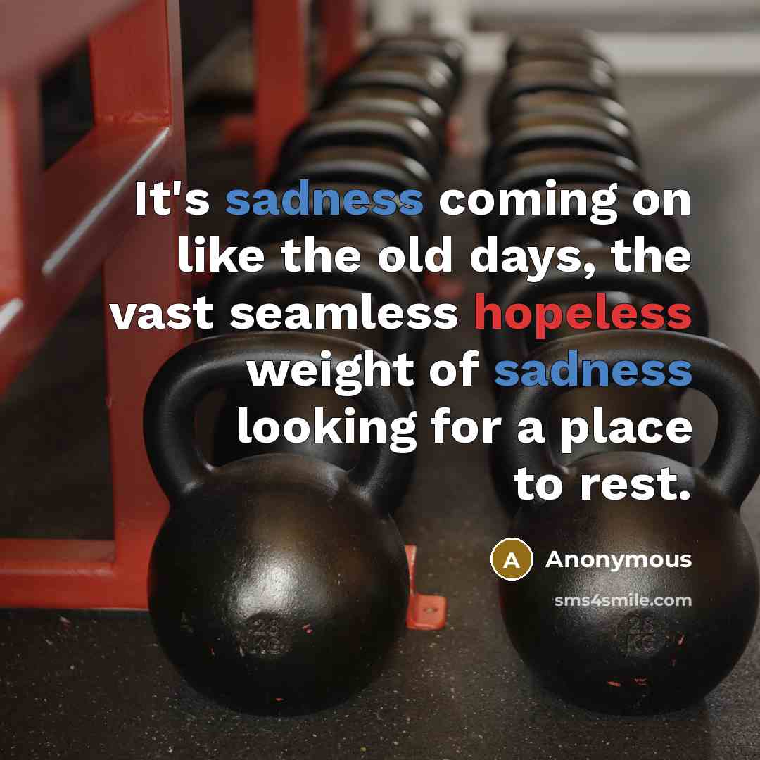 “It's sadness coming on like the old days, the vast seamless hopeless weight of sadness looking for a place to rest.” quote by Anonymous