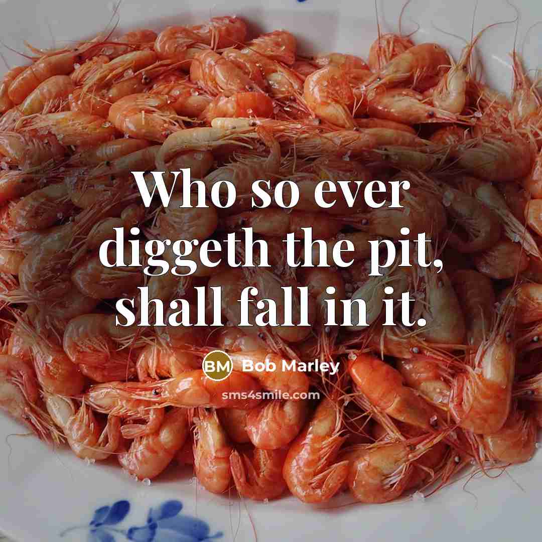 “Who so ever diggeth the pit, shall fall in it.” quote by Bob Marley