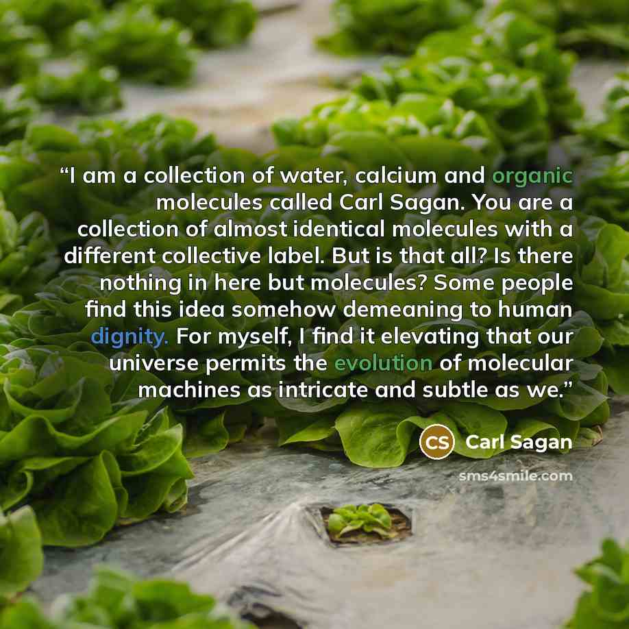 “I am a collection of water, calcium and organic molecules called Carl Sagan. You are a collection of almost identical molecules with a different collective label. But is that all? Is there nothing in here but molecules? Some people find this idea somehow demeaning to human dignity. For myself, I…” quote by Carl Sagan