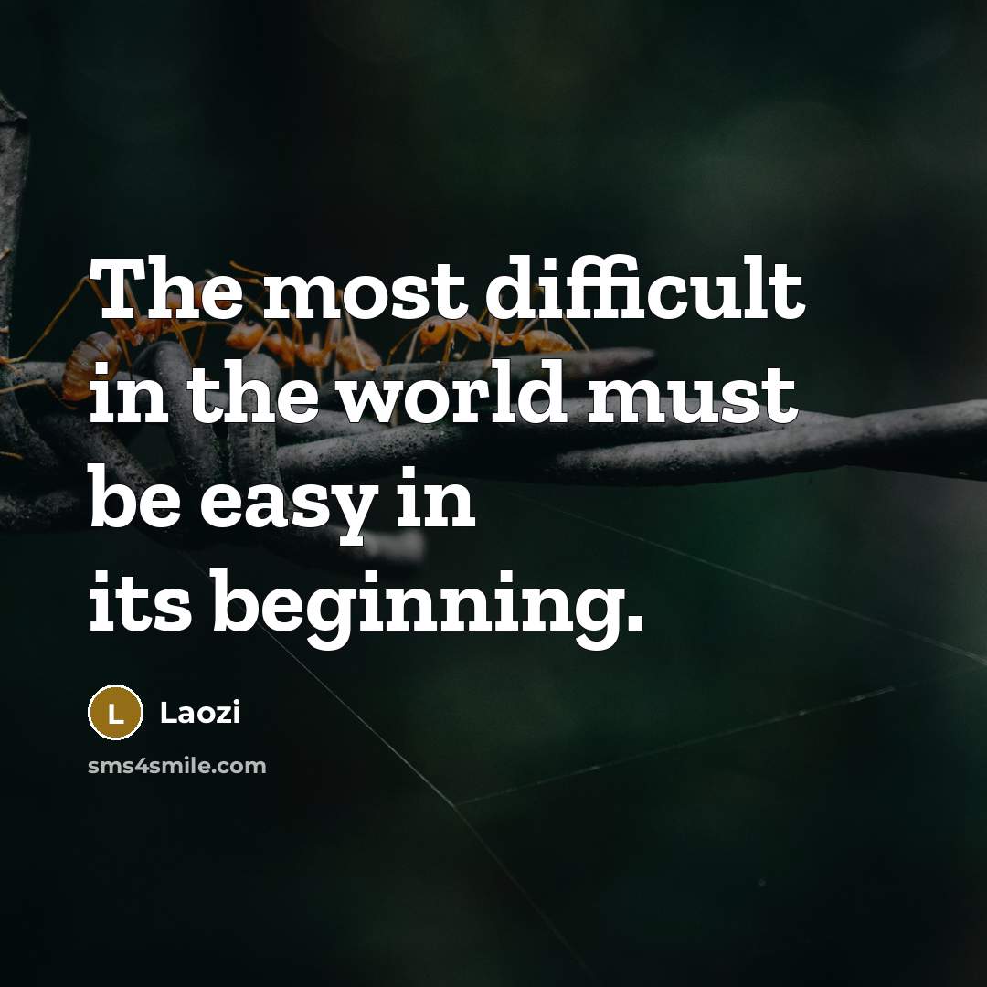 “The most difficult in the world must be easy in its beginning.” quote by Laozi