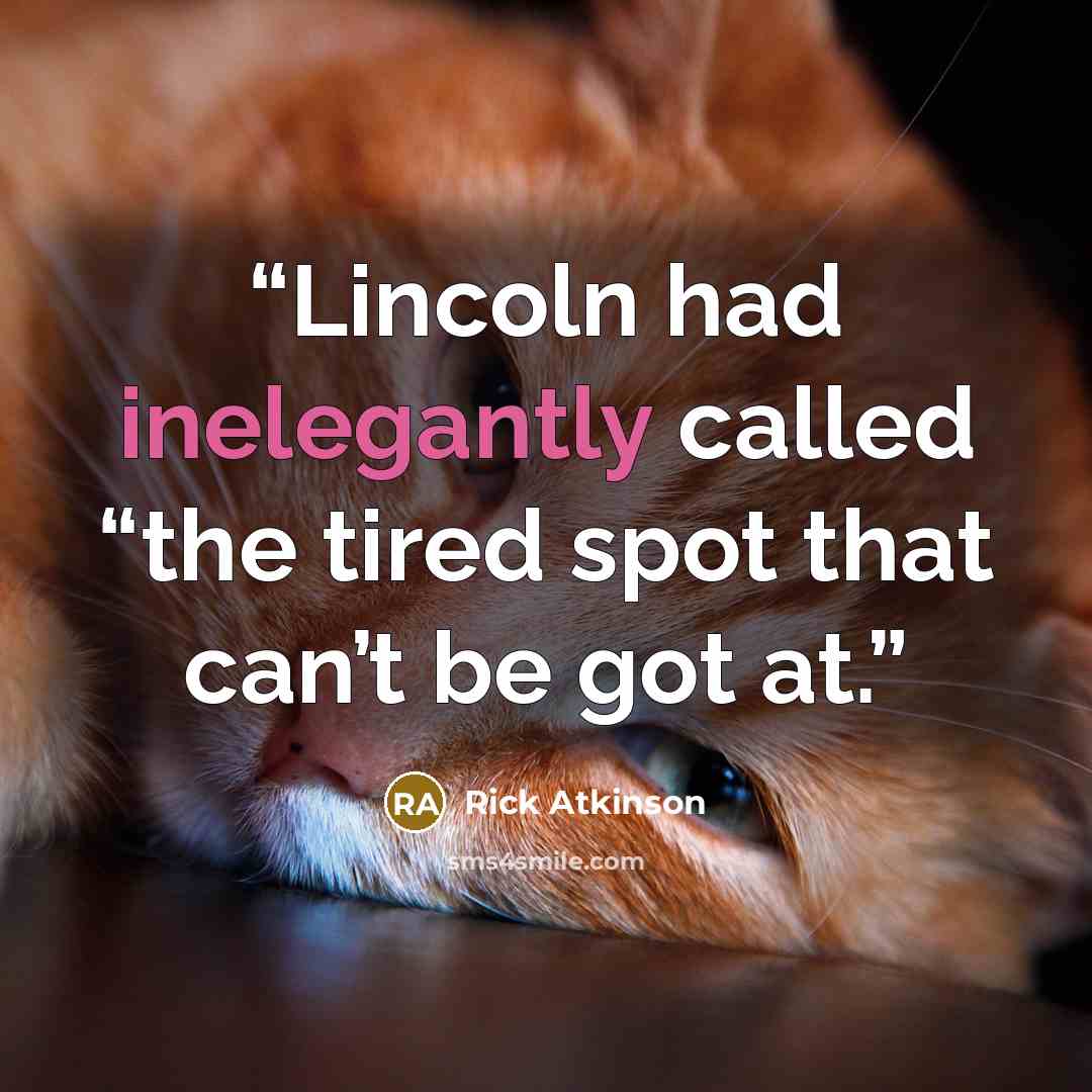 “Lincoln had inelegantly called “the tired spot that can’t be got at.” quote by Rick Atkinson