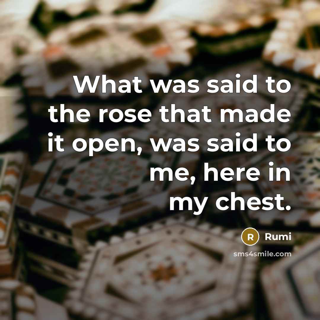 “What was said to the rose that made it open, was said to me, here in my chest.” quote by Rumi