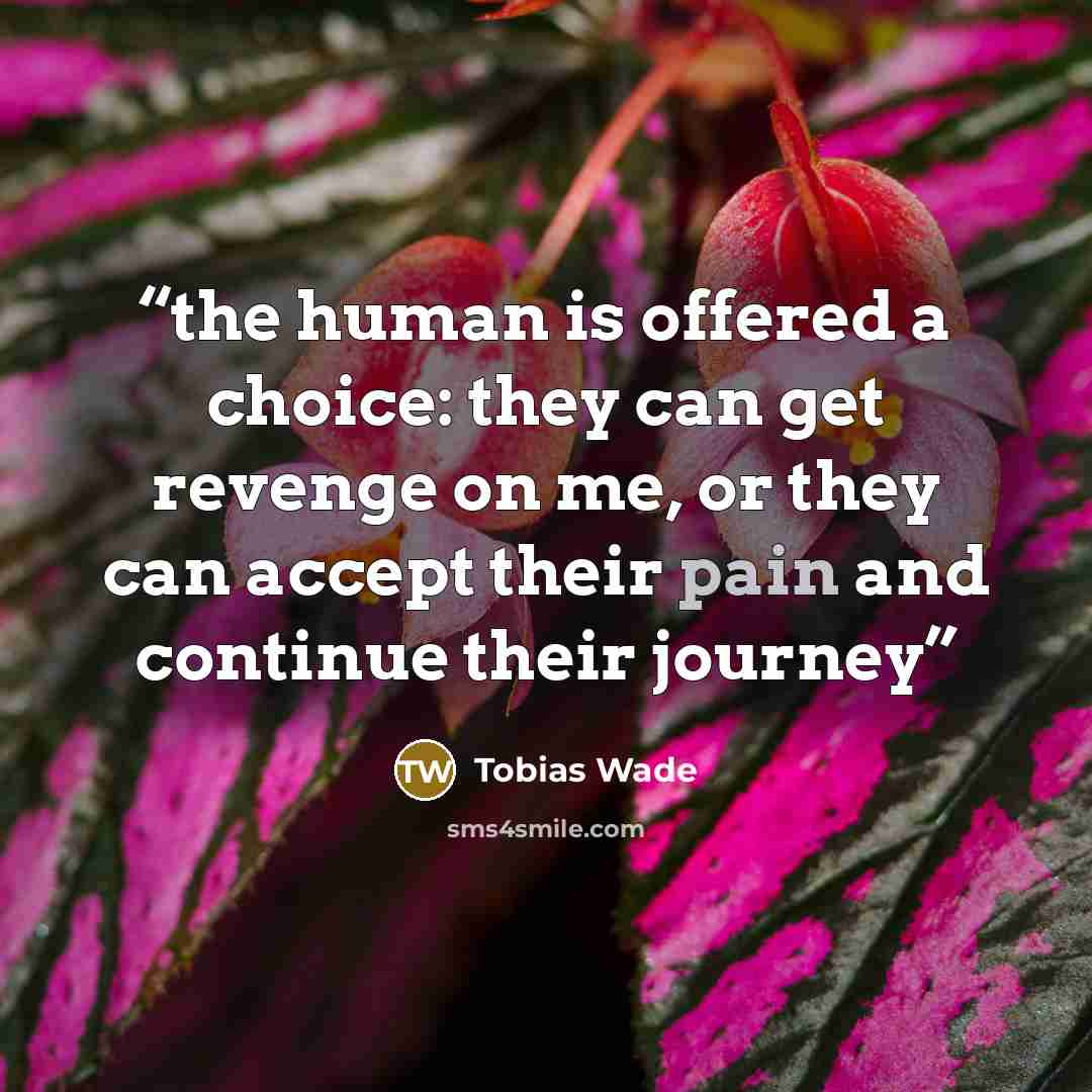 “the human is offered a choice: they can get revenge on me, or they can accept their pain and continue their journey” quote by Tobias Wade