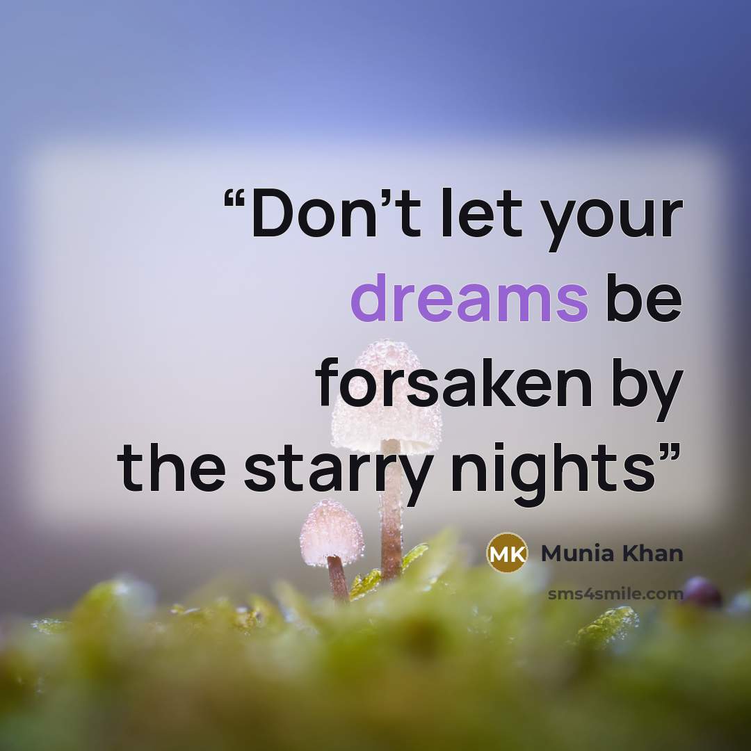 “Don’t let your dreams be forsaken by the starry nights” quote by Munia Khan