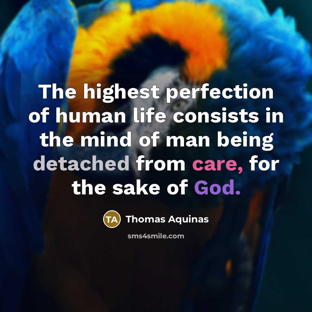 “The highest perfection of human life consists in the mind of man being detached from care, for the sake of God.” quote by Thomas Aquinas