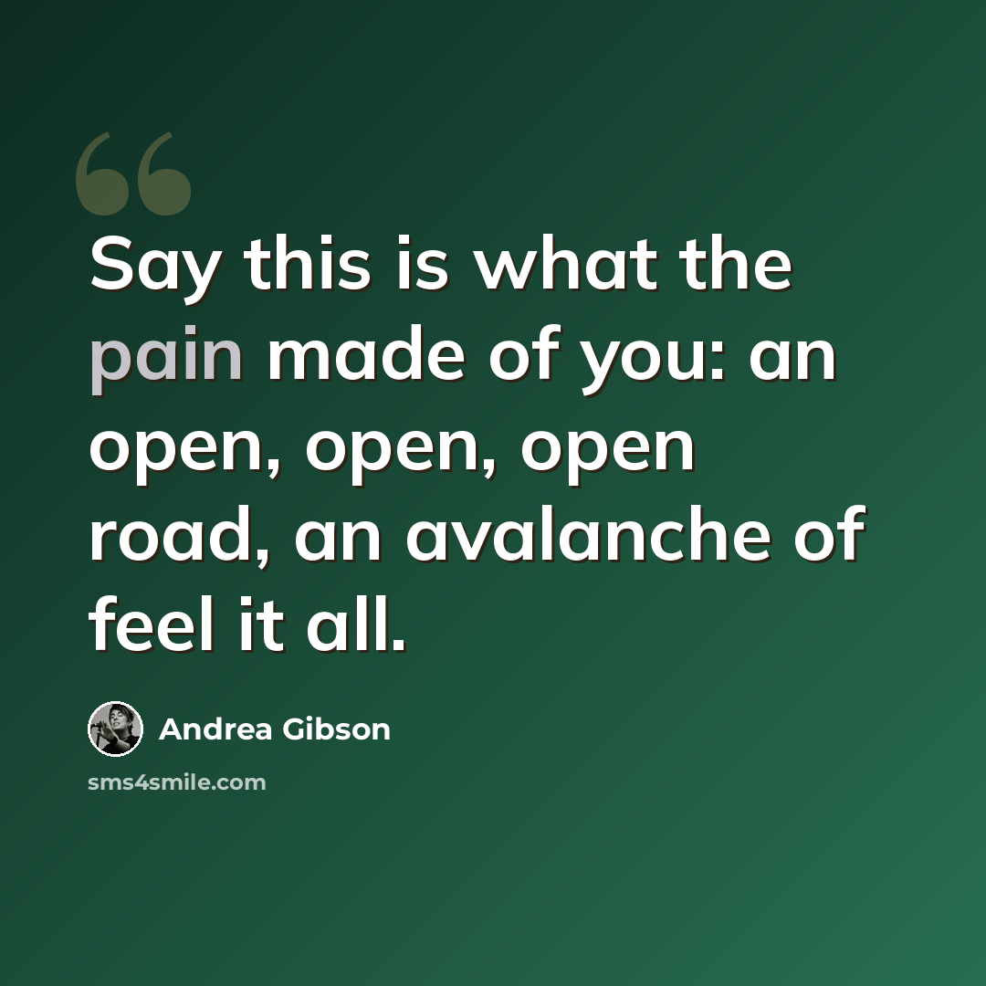 “Say this is what the pain made of you: an open, open, open road, an avalanche of feel it all.” quote by Andrea Gibson