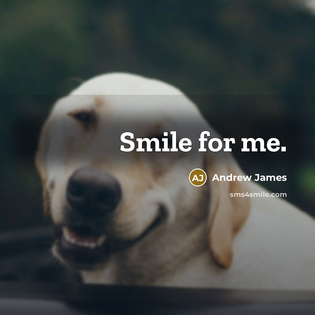 “Smile for me.” quote by Andrew James