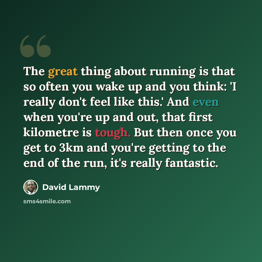 “The great thing about running is that so often you wake up and you think: 'I really don't feel like this.' And even when you're up and out, that first kilometre is tough. But then once you get to 3km and you're getting to the end of the run, it's really fantastic.” quote by David Lammy