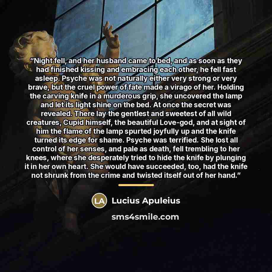“Night fell, and her husband came to bed, and as soon as they had finished kissing and embracing each other, he fell fast asleep. Psyche was not naturally either very strong or very brave, but the cruel power of fate made a virago of her. Holding the carving knife in a murderous grip, she uncovered…” quote by Lucius Apuleius
