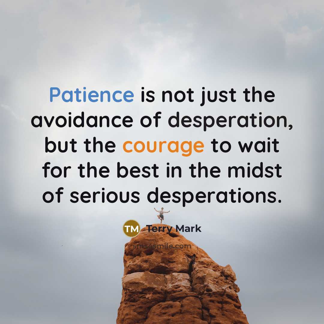 “Patience is not just the avoidance of desperation, but the courage to wait for the best in the midst of serious desperations.” quote by Terry Mark