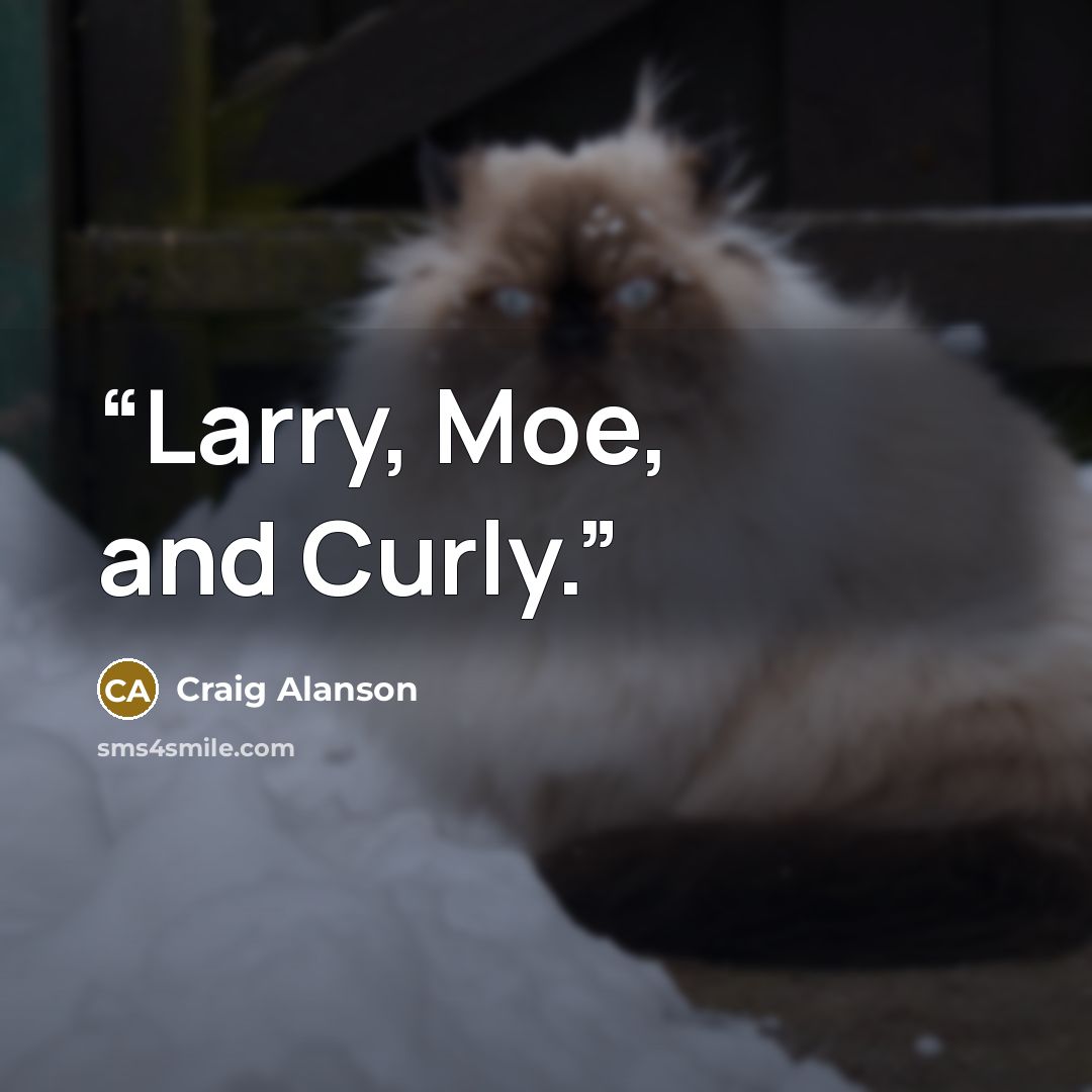 “Larry, Moe, and Curly.” quote by Craig Alanson