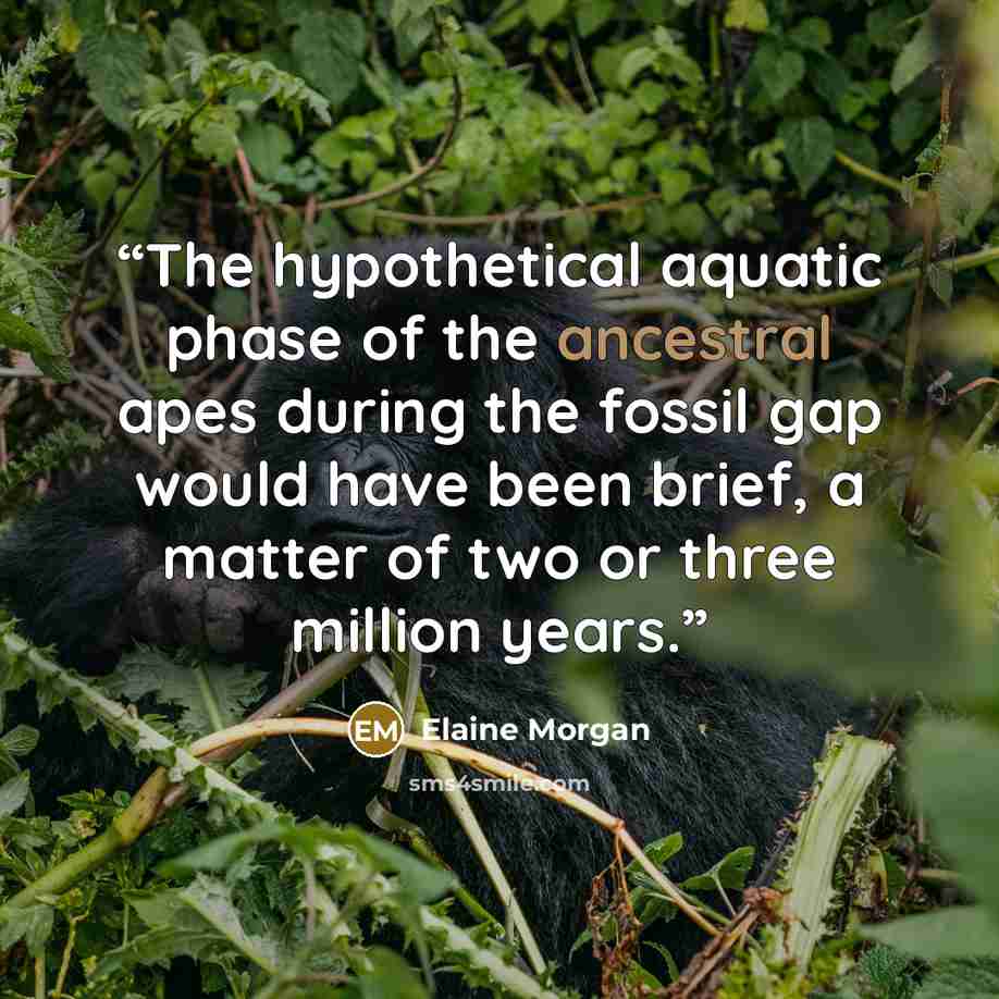 “The hypothetical aquatic phase of the ancestral apes during the fossil gap would have been brief, a matter of two or three million years.” quote by Elaine Morgan