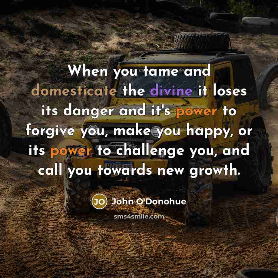 “When you tame and domesticate the divine it loses its danger and it's power to forgive you, make you happy, or its power to challenge you, and call you towards new growth.” quote by John O'Donohue