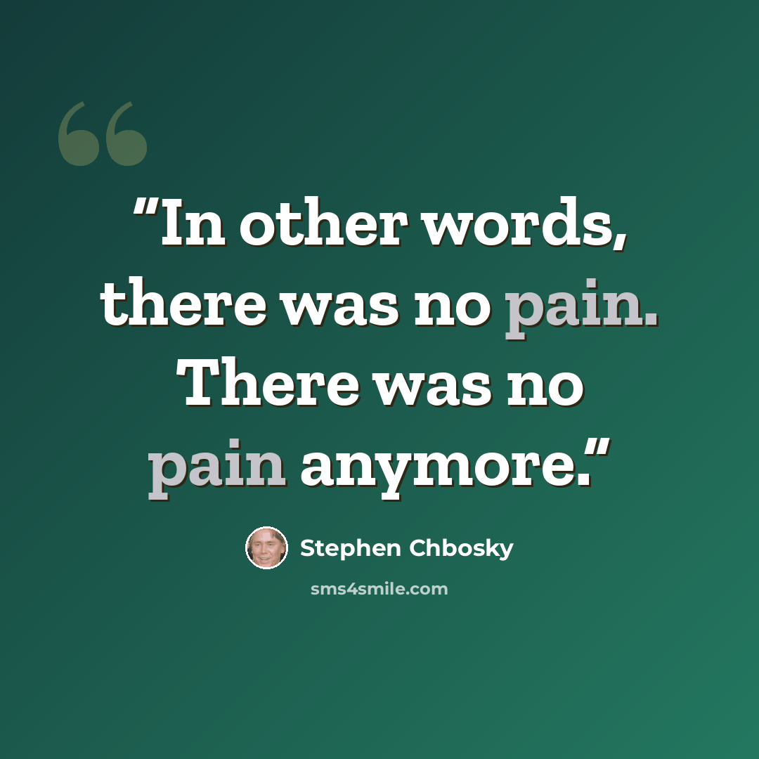 “In other words, there was no pain. There was no pain anymore.” quote by Stephen Chbosky