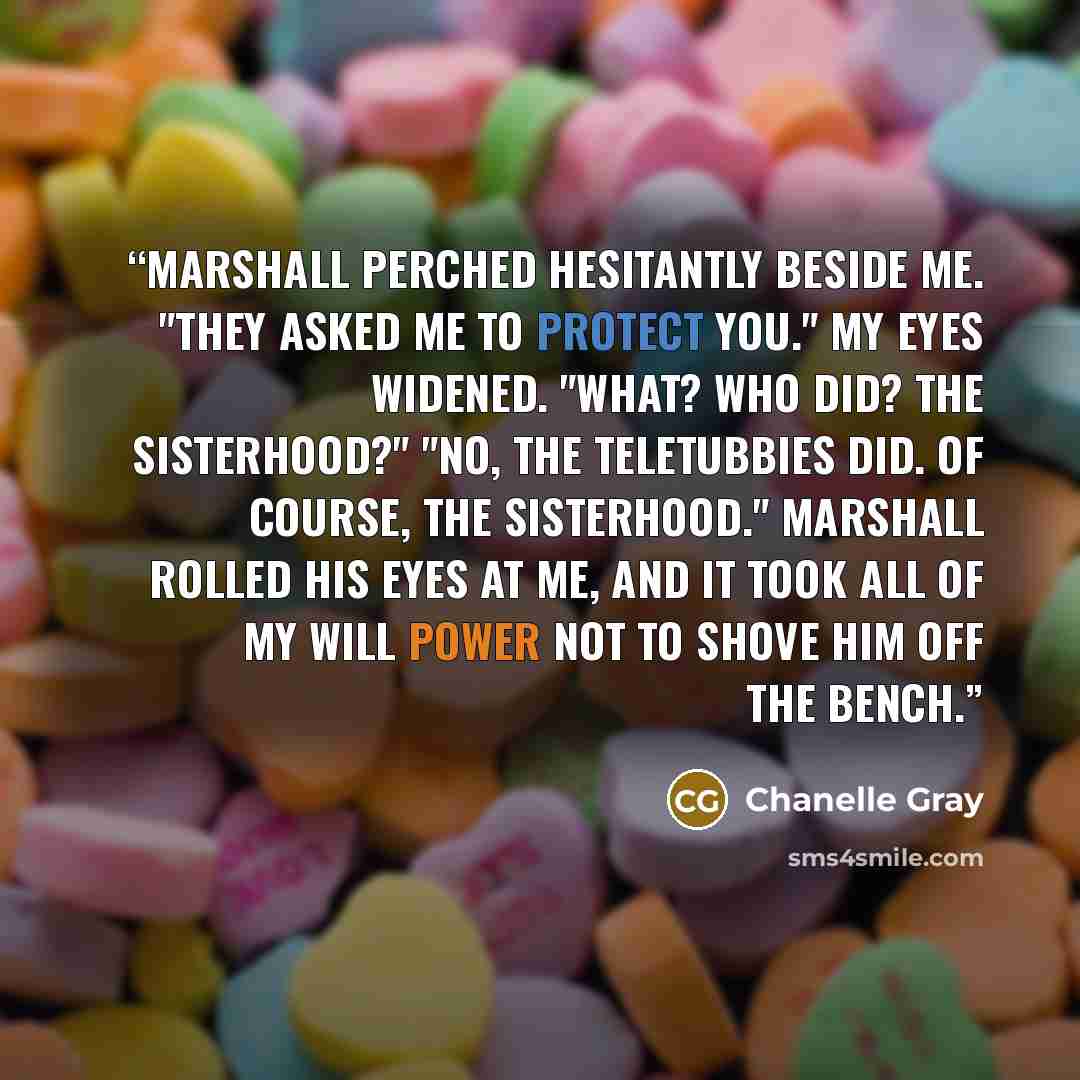 “Marshall perched hesitantly beside me. "They asked me to protect you." My eyes widened. "What? Who did? The Sisterhood?" "No, the Teletubbies did. Of course, the Sisterhood." Marshall rolled his eyes at me, and it took all of my will power not to shove him off the bench.” quote by Chanelle Gray