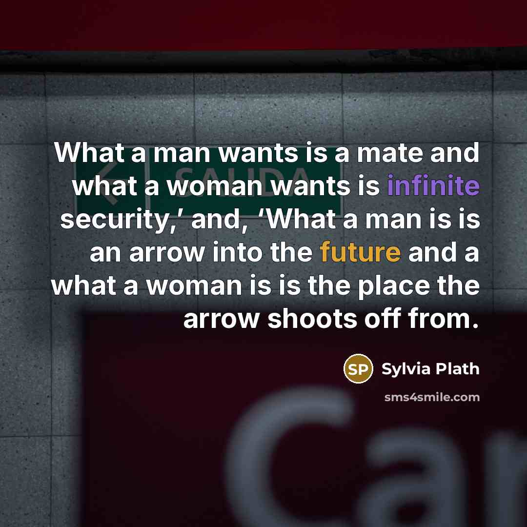 “What a man wants is a mate and what a woman wants is infinite security,’ and, ‘What a man is is an arrow into the future and a what a woman is is the place the arrow shoots off from.” quote by Sylvia Plath