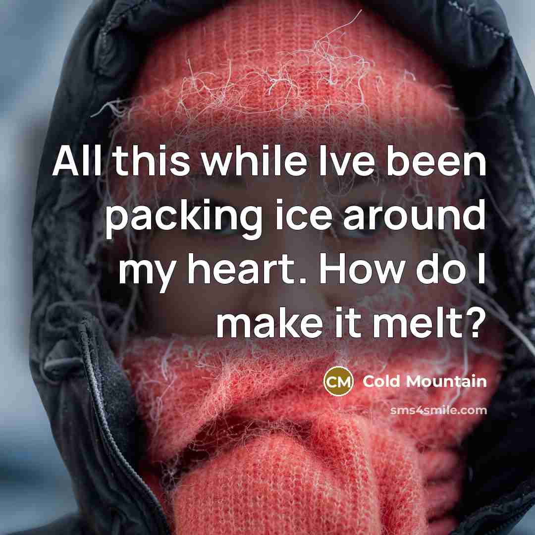 “All this while Ive been packing ice around my heart. How do I make it melt?” quote by Cold Mountain