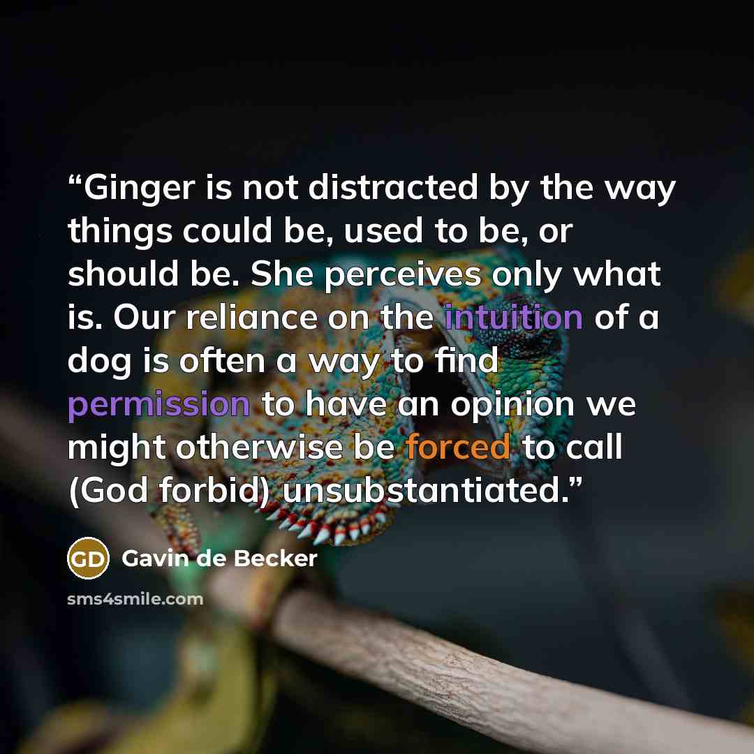 “Ginger is not distracted by the way things could be, used to be, or should be. She perceives only what is. Our reliance on the intuition of a dog is often a way to find permission to have an opinion we might otherwise be forced to call (God forbid) unsubstantiated.” quote by Gavin de Becker