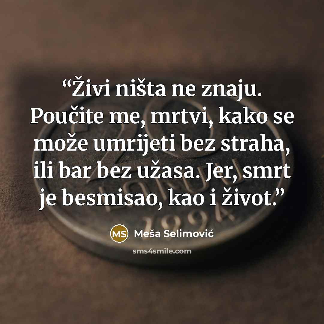 “Živi ništa ne znaju. Poučite me, mrtvi, kako se može umrijeti bez straha, ili bar bez užasa. Jer, smrt je besmisao, kao i život.” quote by Meša Selimović