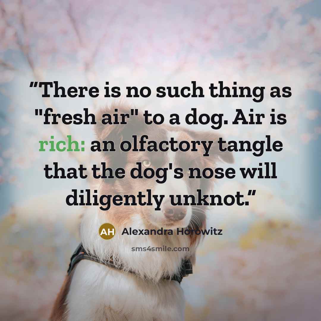 “There is no such thing as "fresh air" to a dog. Air is rich: an olfactory tangle that the dog's nose will diligently unknot.” quote by Alexandra Horowitz