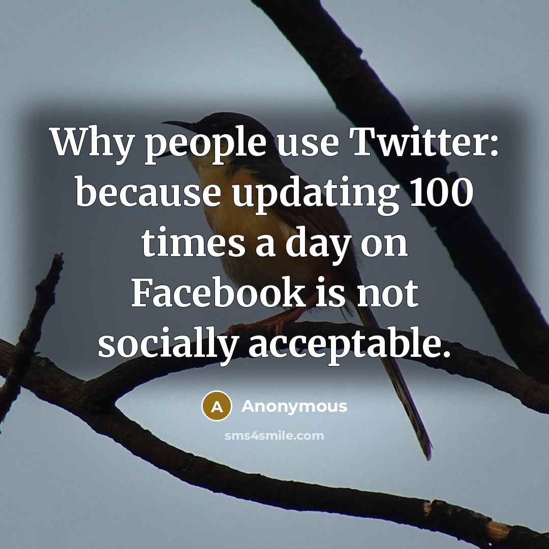 “Why people use Twitter: because updating 100 times a day on Facebook is not socially acceptable.” quote by Anonymous