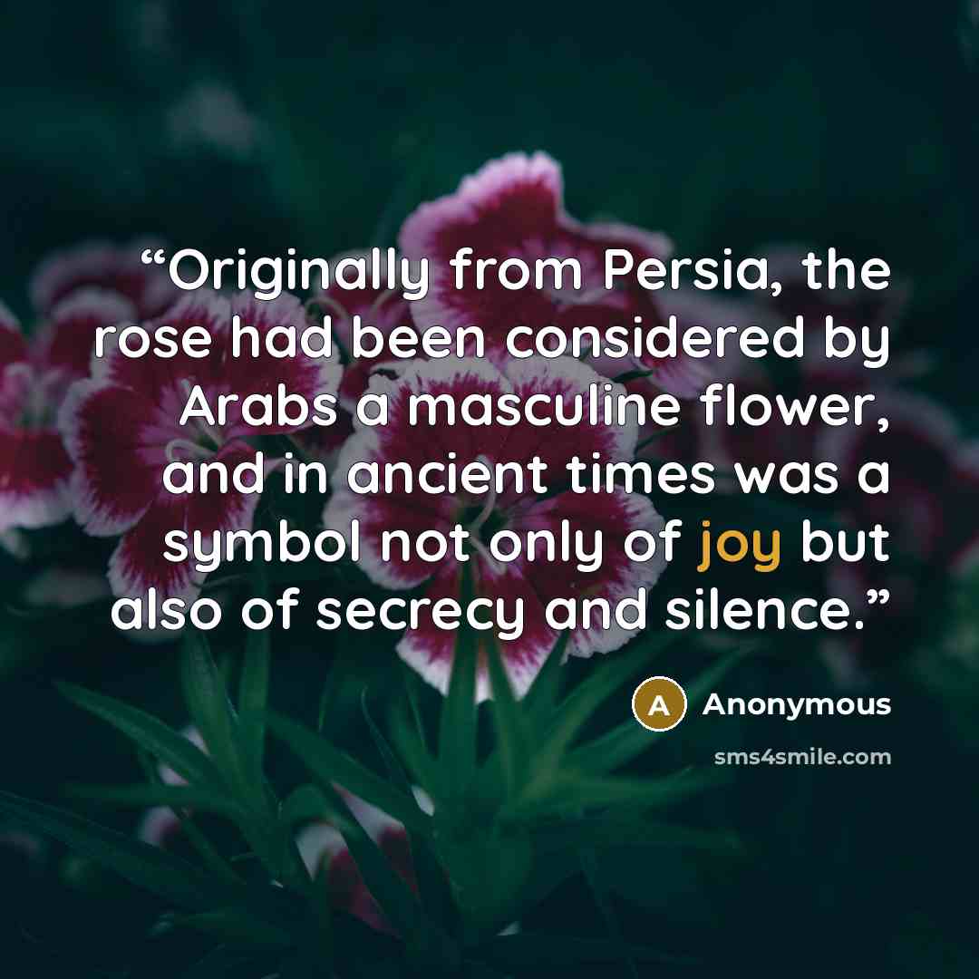“Originally from Persia, the rose had been considered by Arabs a masculine flower, and in ancient times was a symbol not only of joy but also of secrecy and silence.” quote by Anonymous